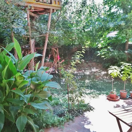 Casa Con Giardino Apartment Turin